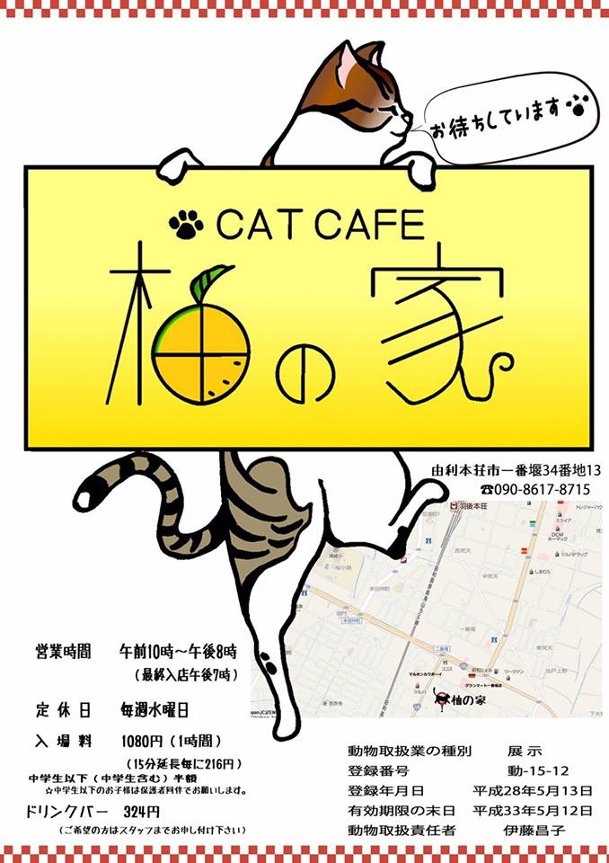 猫カフェ