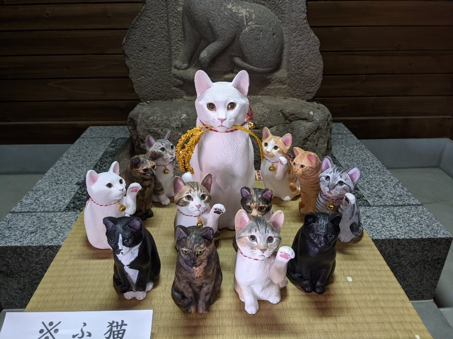 2021-08-09_猫神さまのお使い-03