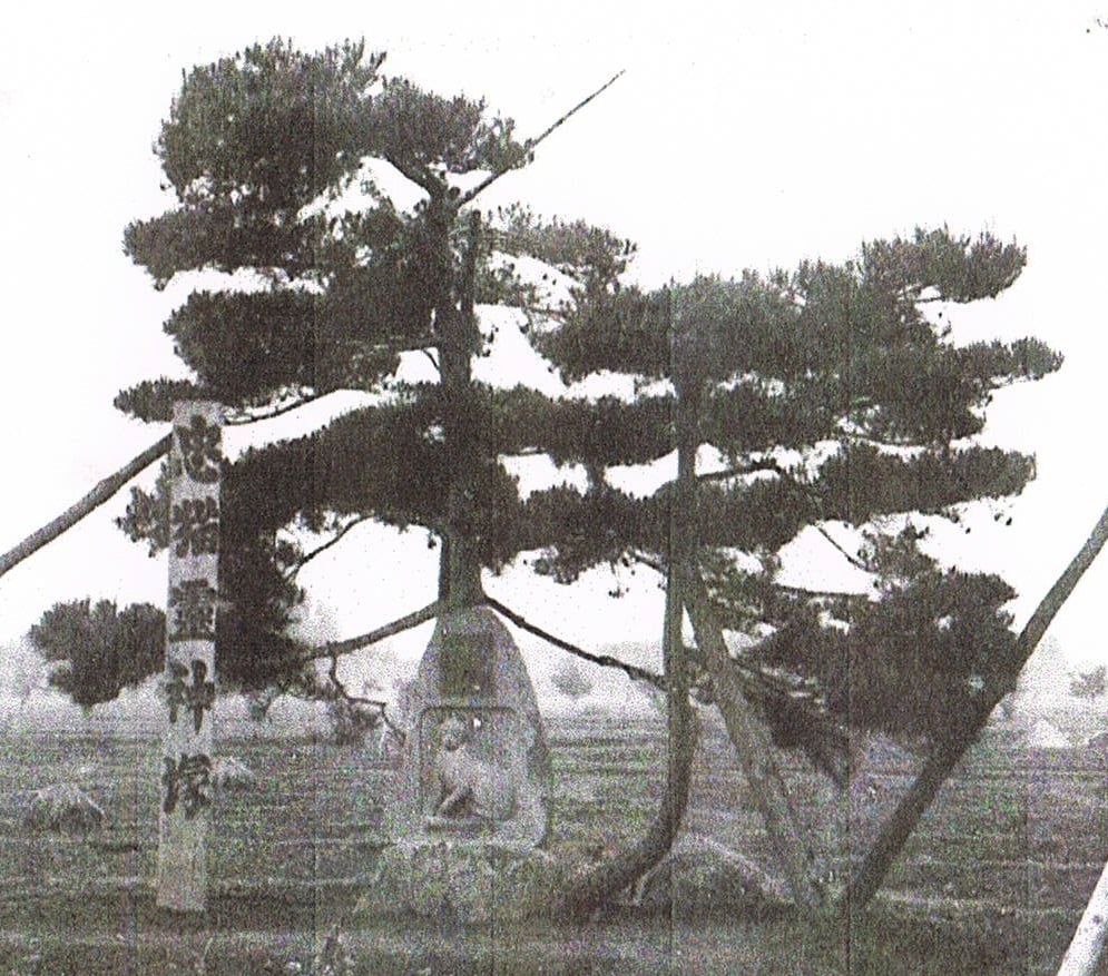 2021-08-28_拓本-01