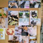 2024-03-20_健康祈願-01