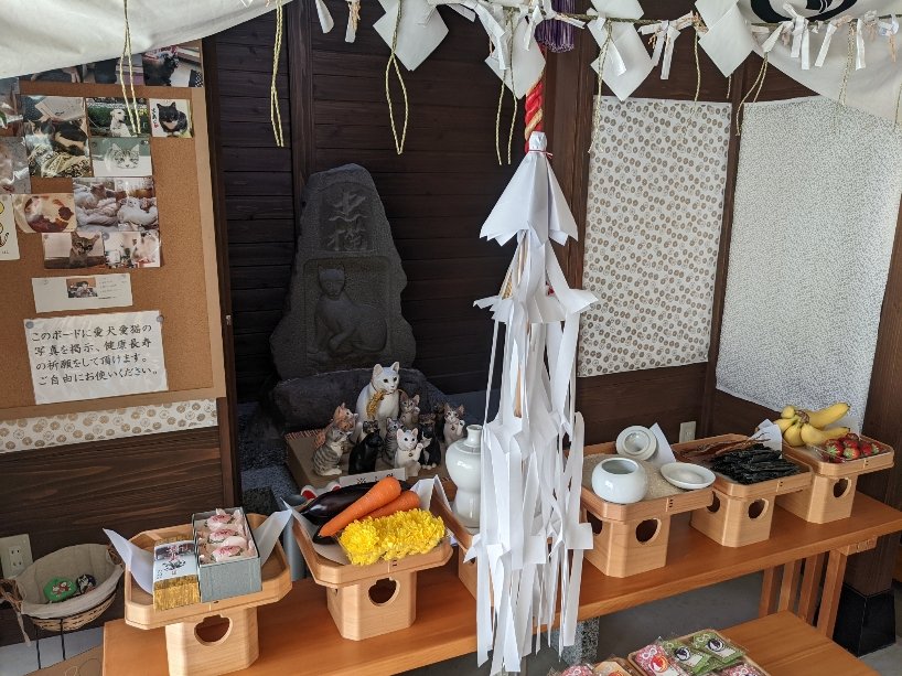 2022-05-29_ワロック猫作品-02