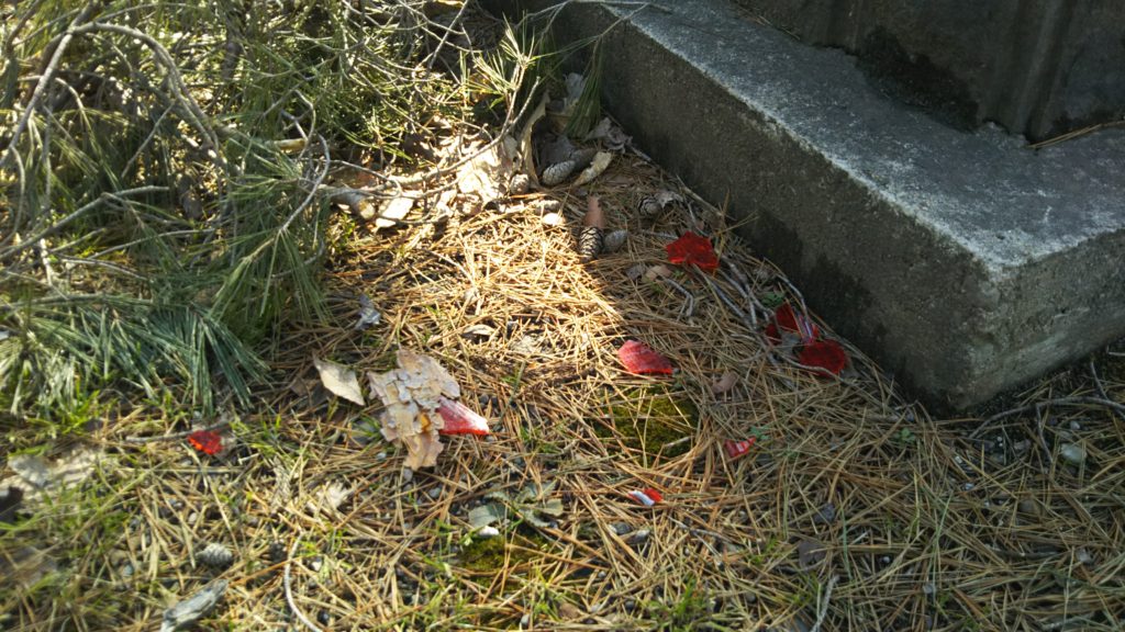 バンパーの破片